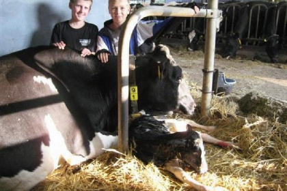 002 Charmant 6 persoons vakantiechalet op een boerderij bij Leiden in het Groene Hart