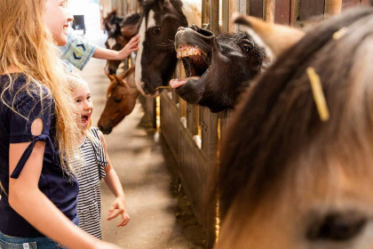 020 Vijf persoons vakantiehuis op Parc de IJsselhoeve