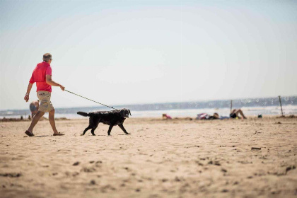 020 4 persoons strandhuis op park met zwembad en internet