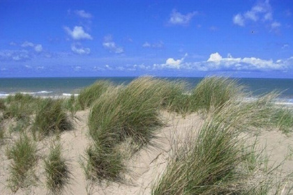 019 Mooi ingericht appartement voor 4 personen op vakantiepark Noordwijkse Duinen dichtbij zee