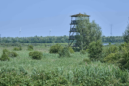 038 Poldergeluk