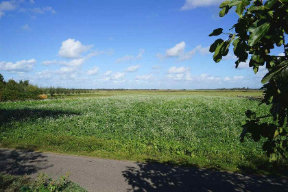 007 Heerlijk 4 persoons vakantiehuis nabij Ouddorp en vlakbij het strand