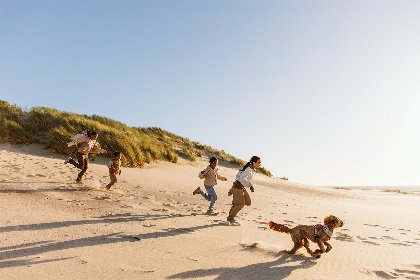 041 Vakantiehuis 10 persoons luxe