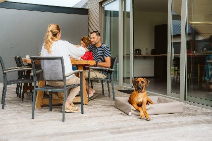 035 Vakantiehuis 6 persoons comfort