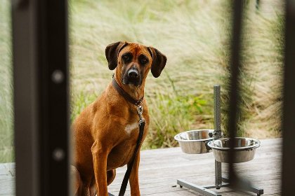 038 Vakantiehuis 8 persoons comfort