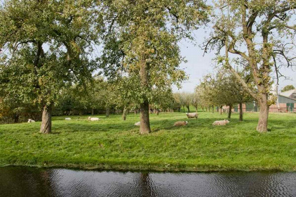 001 Luxe 16 persoons groepsaccommodatie op het erf van een boerderij vlakbij Gouda