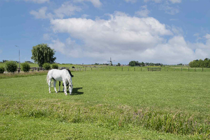 006 12 persoons accommodatie op het platteland in Rijpwetering in een prachtige omgeving!