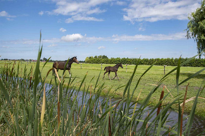 011 12 persoons accommodatie op het platteland in Rijpwetering in een prachtige omgeving!