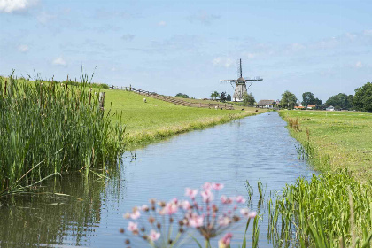 018 12 persoons accommodatie op het platteland in Rijpwetering in een prachtige omgeving!