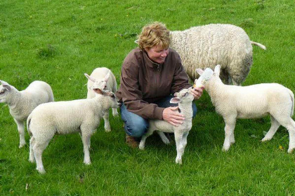 019 12 persoons accommodatie op het platteland in Rijpwetering in een prachtige omgeving!