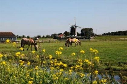 043 Vrijstaand 4 persoons vakantiehuis op vakantiepark de Wijde Aa in Roelofarendsveen