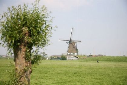 041 Vrijstaand 5 persoons caravriendelijk vakantiehuis in Roelofarendsveen