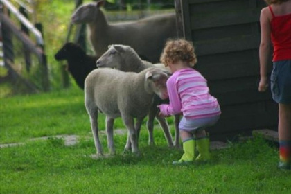 038 Vrijstaand 5 persoons vakantiehuis op een leuk familiepark in Roelofarendsveen!