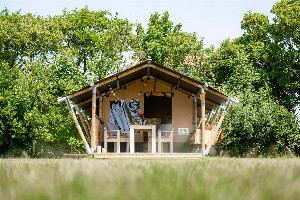 Safaritent Cosy (inclusief ontbijt)