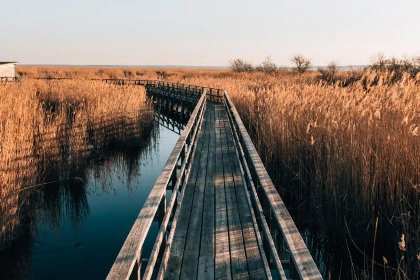 006 Guesthouse Seeblick