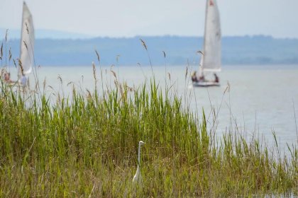 012 Guesthouse Spa Leithagebirge 012 Guesthouse Spa Leithagebirge