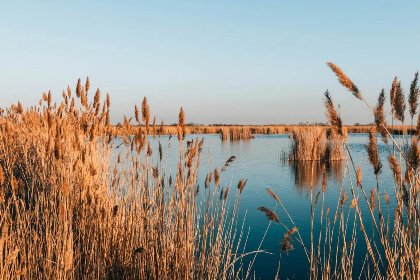 016 Guesthouse Spa Seeblick