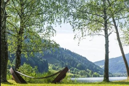 010 Alpenchalet Afritz am See