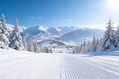 033 Alpensehnsucht