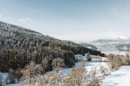 010 Bergchalet am See