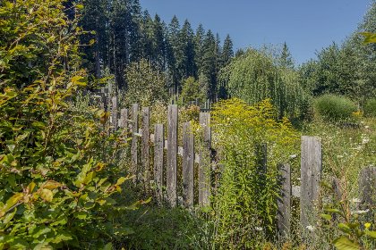 044 Auen 53