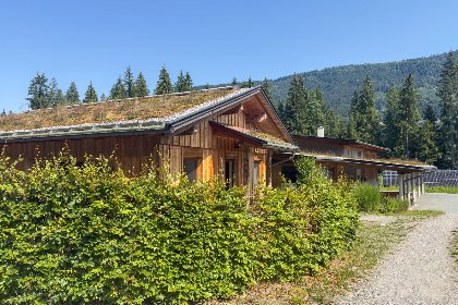 049 Auen 53