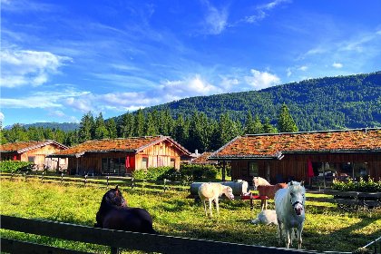 039 Buchen 54