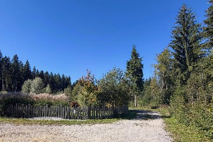 045 Buchen 54
