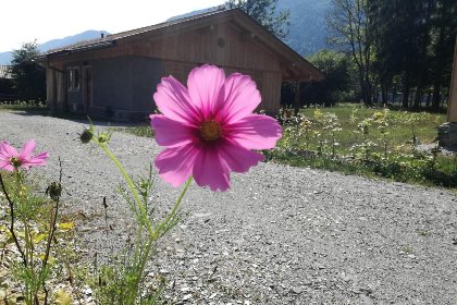 021 See Chalet 50