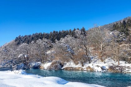 019 See Idylle am Pressegger See