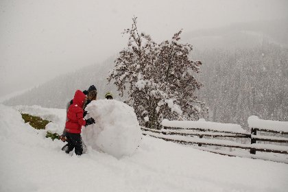 054 Carmaliva 054 Carmaliva