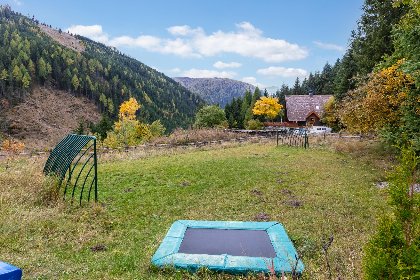 065 Carmaliva 065 Carmaliva