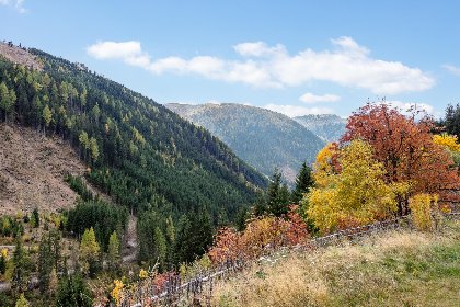 070 Carmaliva 070 Carmaliva