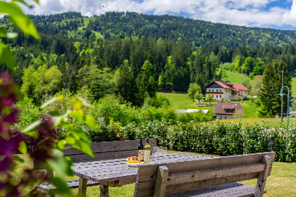081 Jukbichl 2