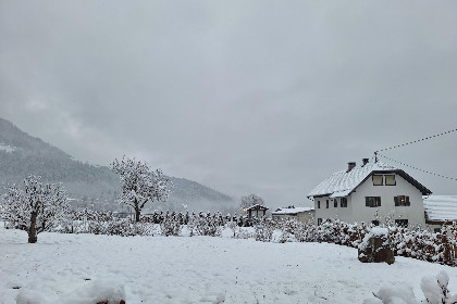062 Jukbichl