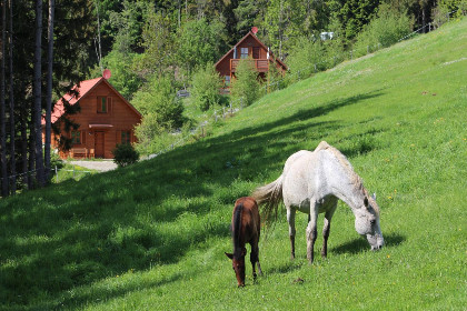 018 Sternenchalet