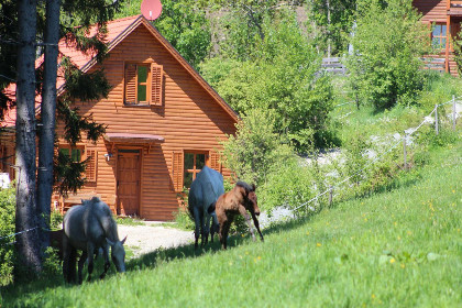 019 Sternenchalet