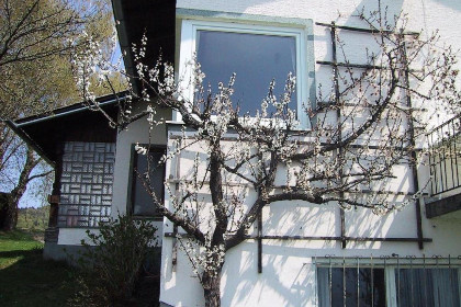 013 Landhaus Karawankenblick