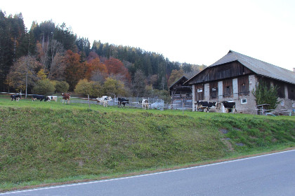 041 Obermoschach 5A