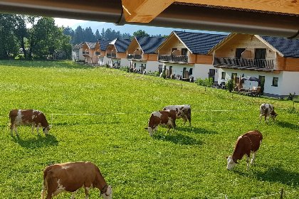 059 Rattendorf 23A