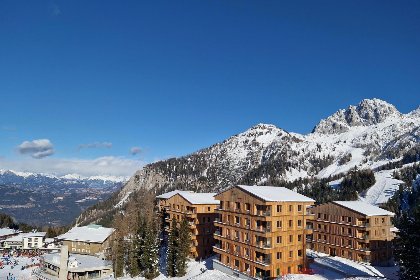 017 Sonnenalpe Nassfeld Bergblume Top A01