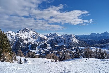 018 Sonnenalpe Nassfeld Bergblume Top A01