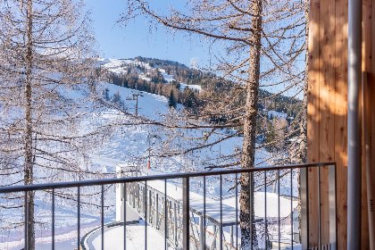 019 Sonnenalpe Nassfeld Bergblume Top A01