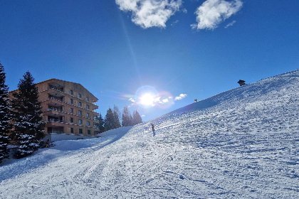 020 Sonnenalpe Nassfeld Bergblume Top A01