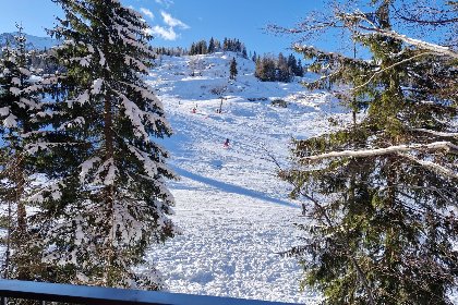 018 Zirbenlodge Sonnenalpe Nassfeld Top B01