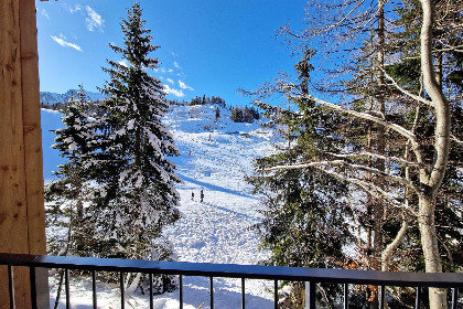 027 Zirbenlodge Sonnenalpe Nassfeld