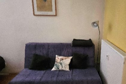 005 Salburg Tropolach