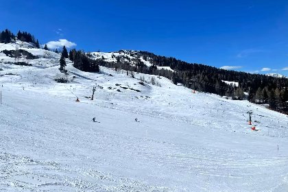 008 Salburg Tropolach