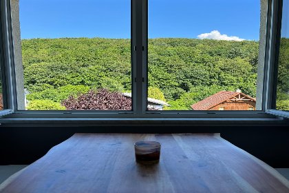 022 Wienerwaldblick