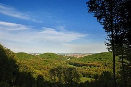 024 Wienerwaldblick